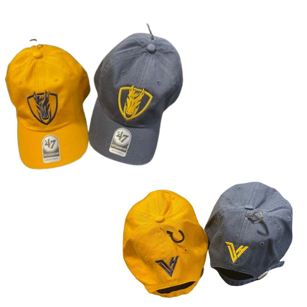 DH Ball Cap