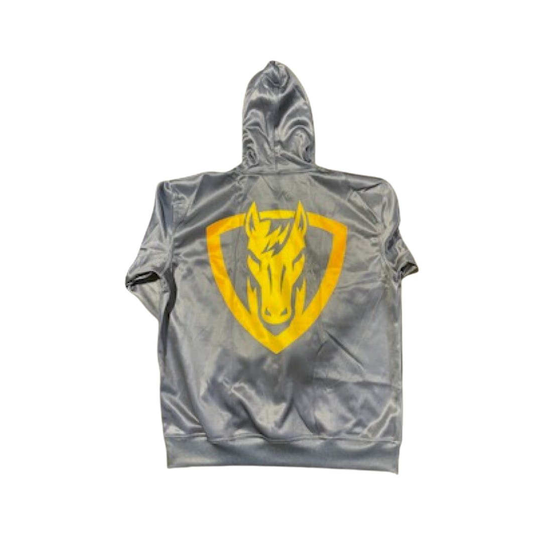 Navy DH Hoodie w/logo on back