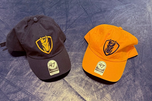 DH Ball Cap