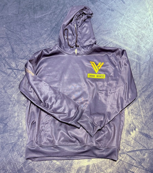 Navy DH Hoodie w/logo on back